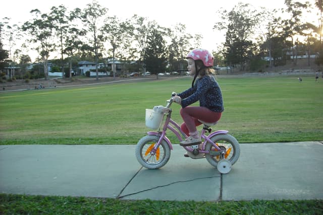 Pedal